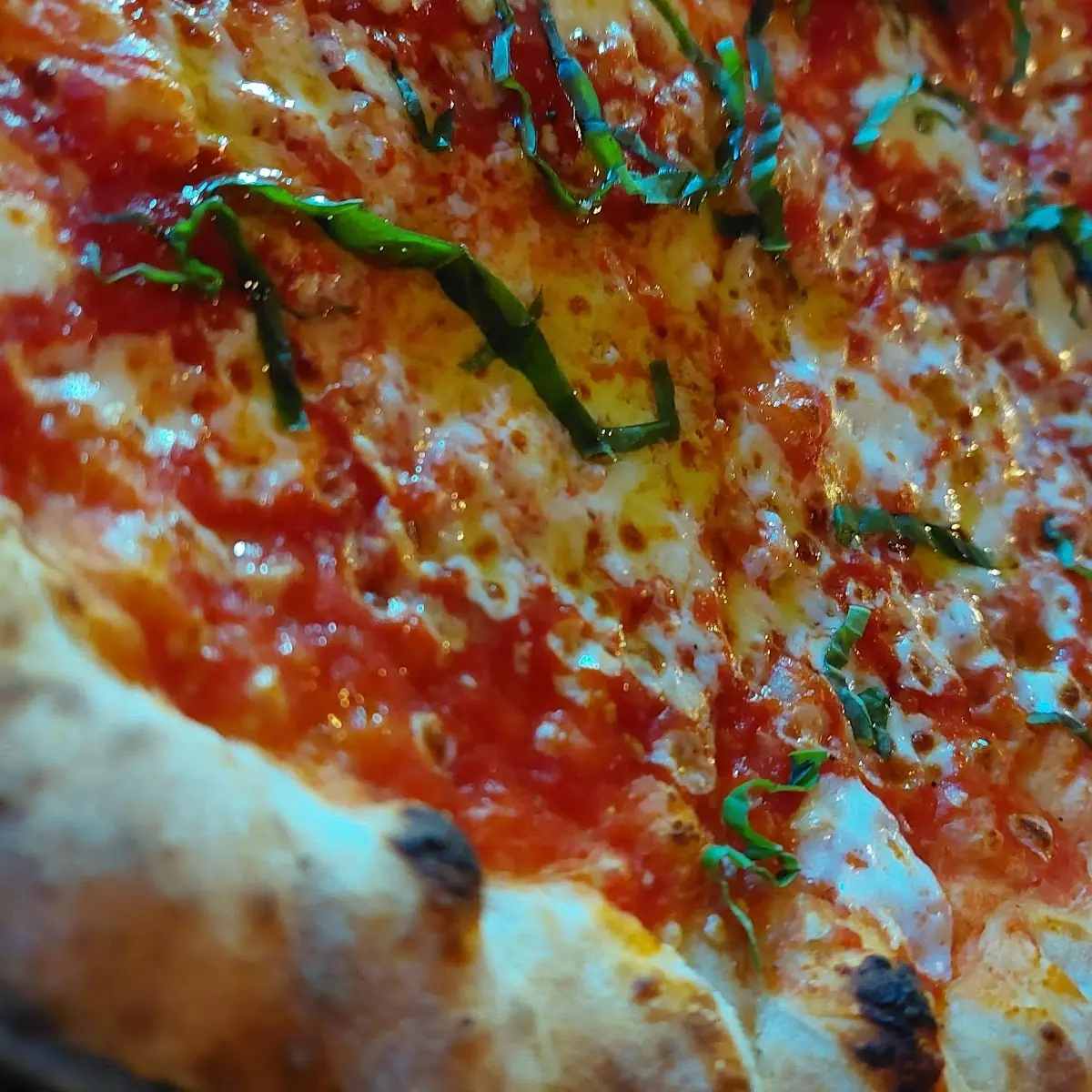 Margherita Pizza