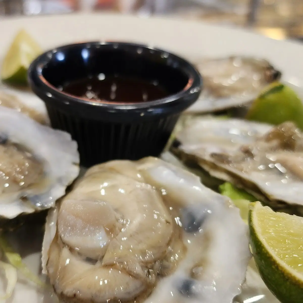 Raw Oysters