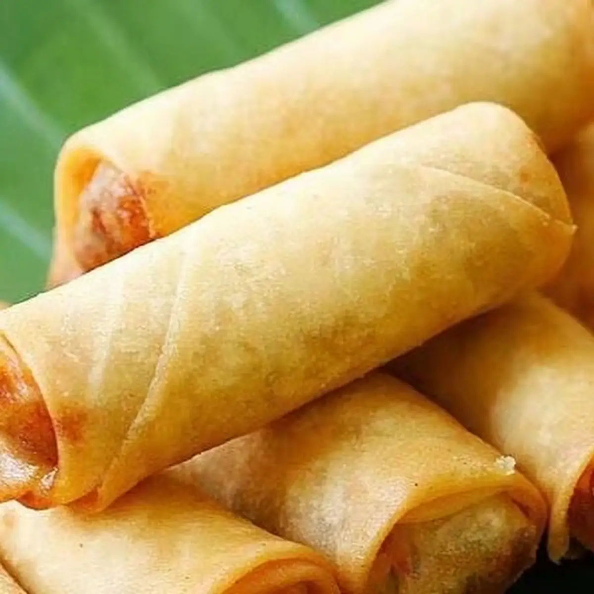 Spring Roll 2