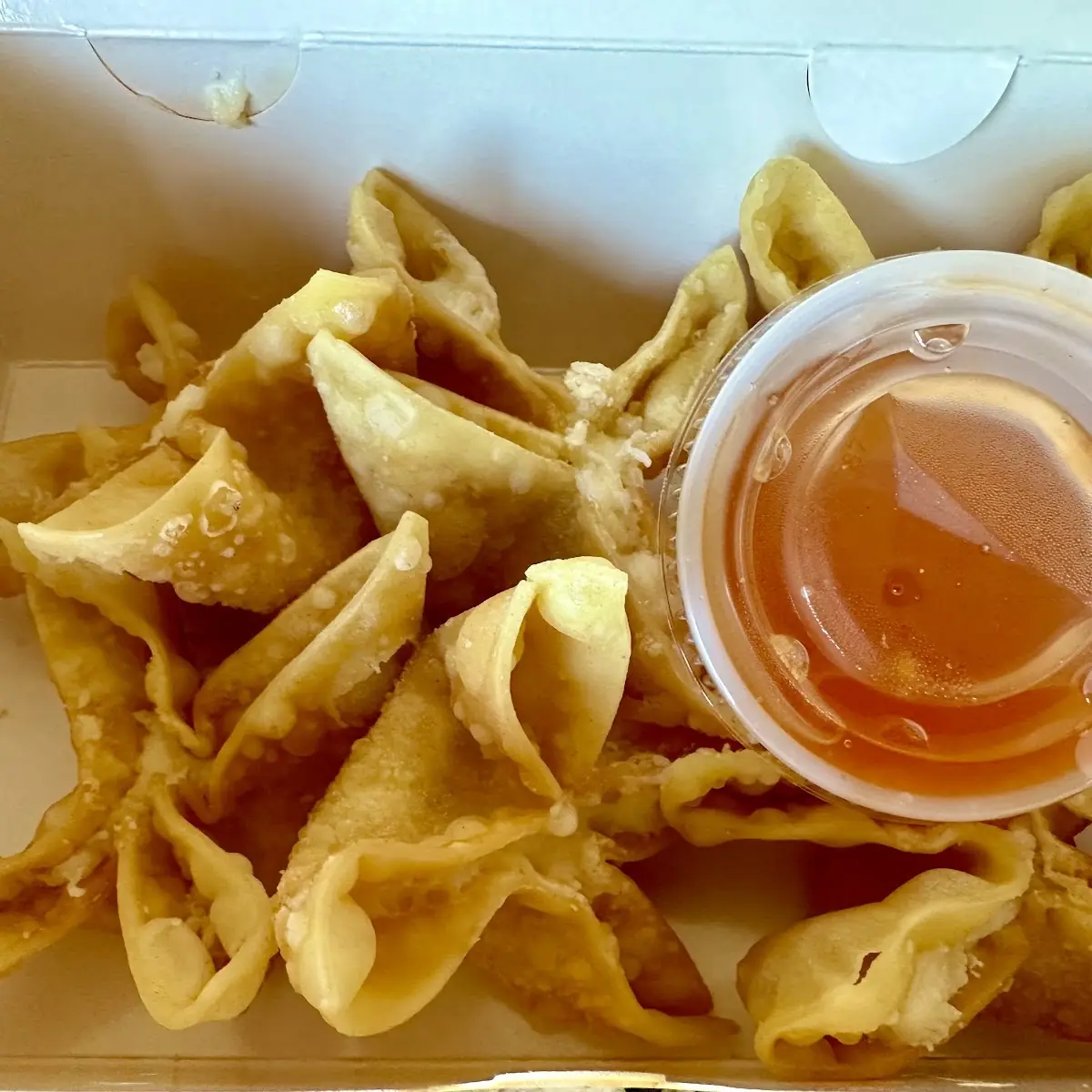 Cheese Wonton 6