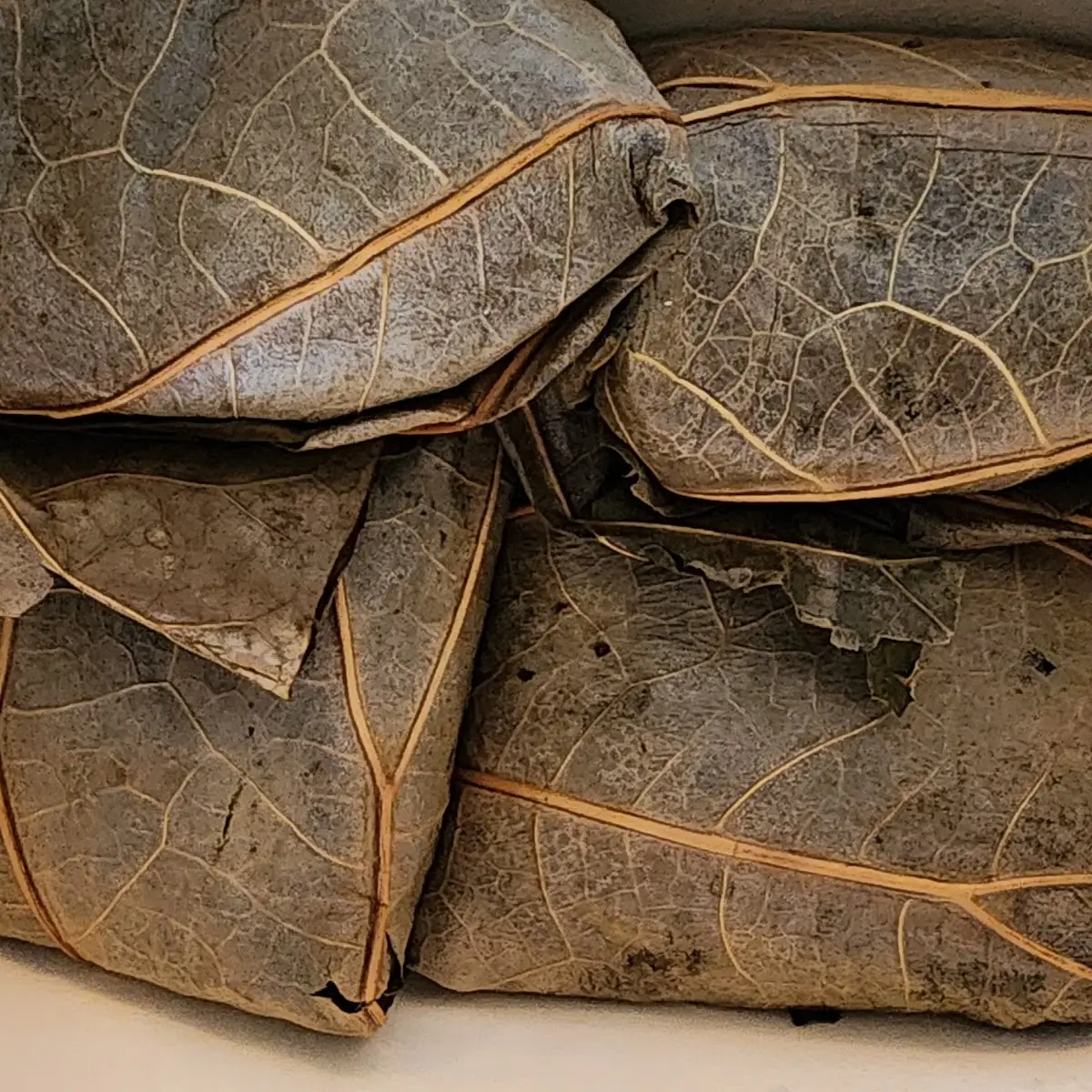 Sticky Rice with Meat