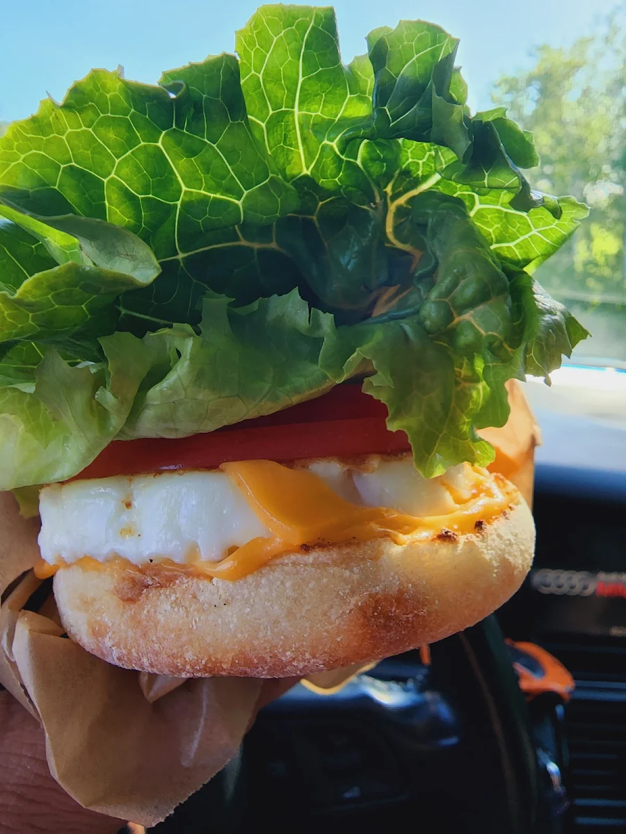 Egg and Cheese
