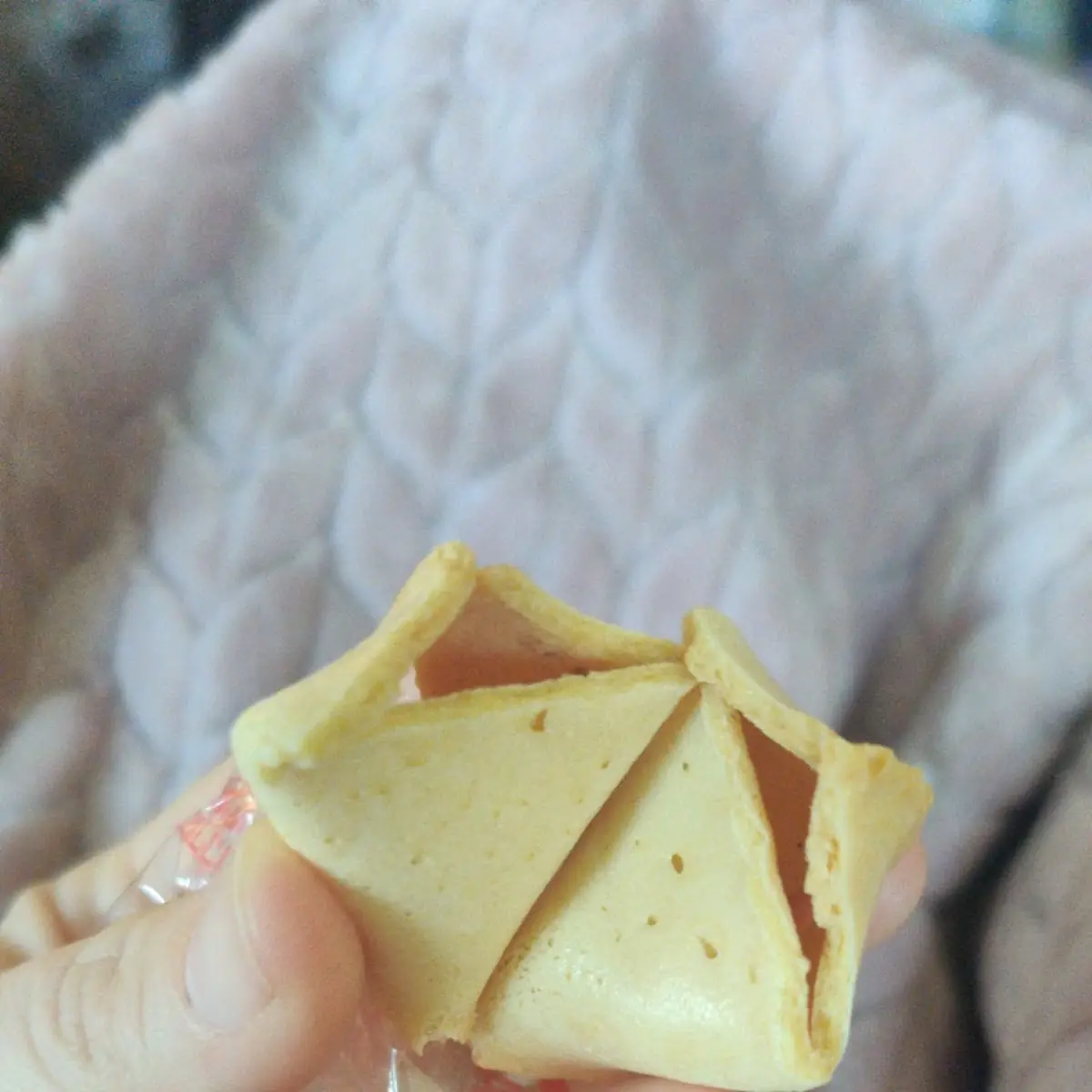 Fortune Cookies