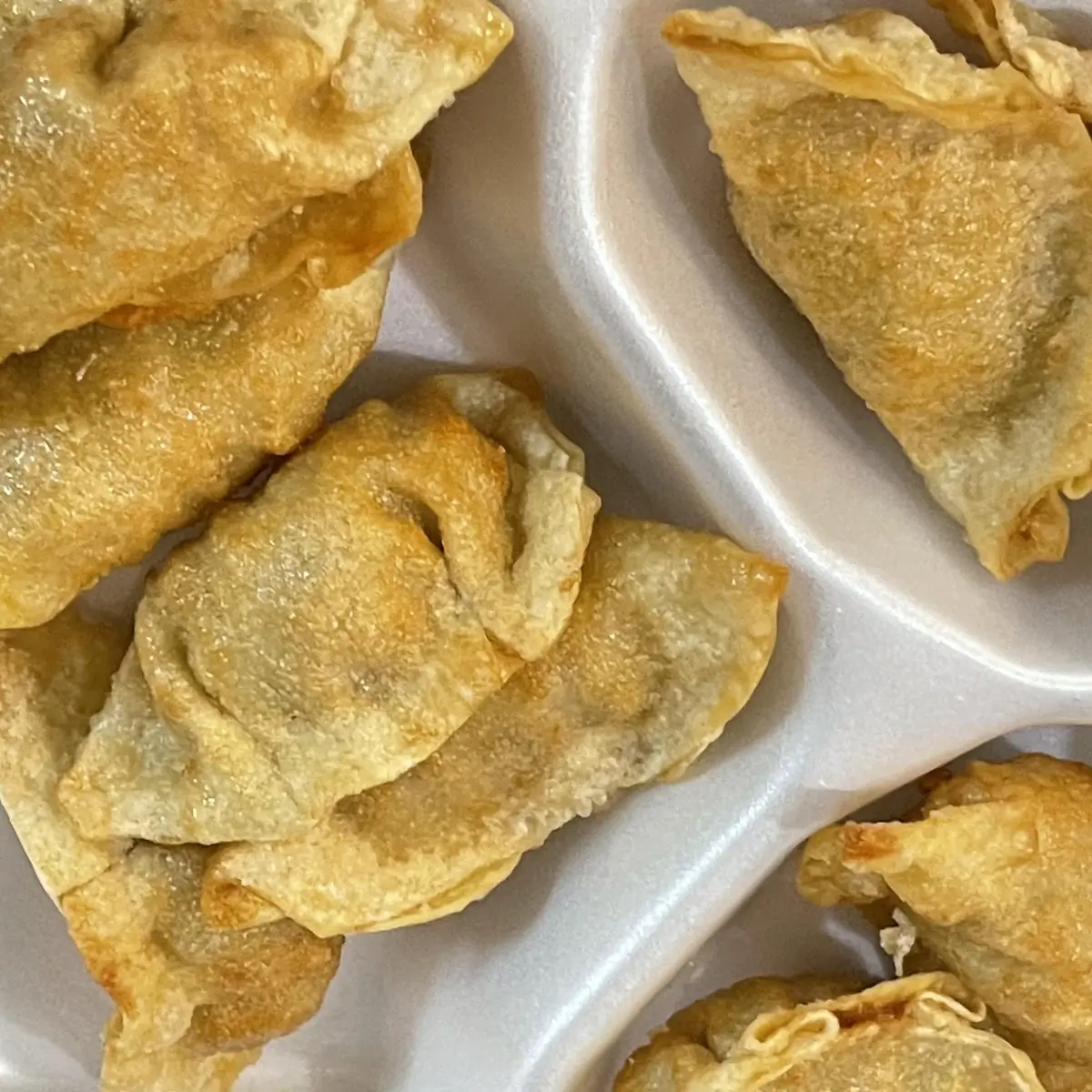 Fried Dumplings 10pc