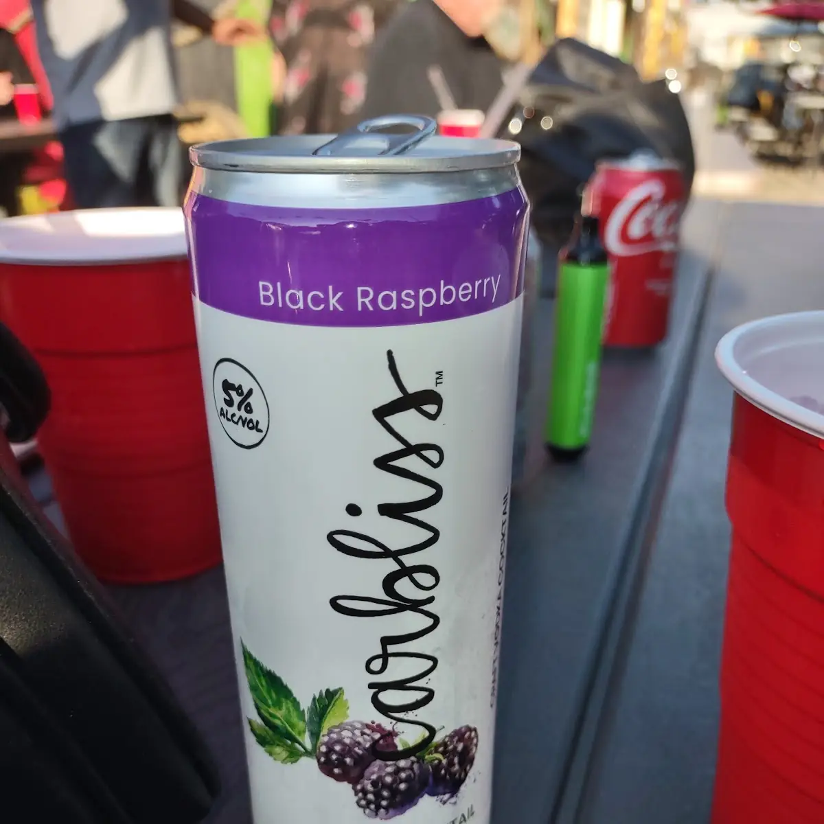 Black Raspberry Hard Seltzer Water