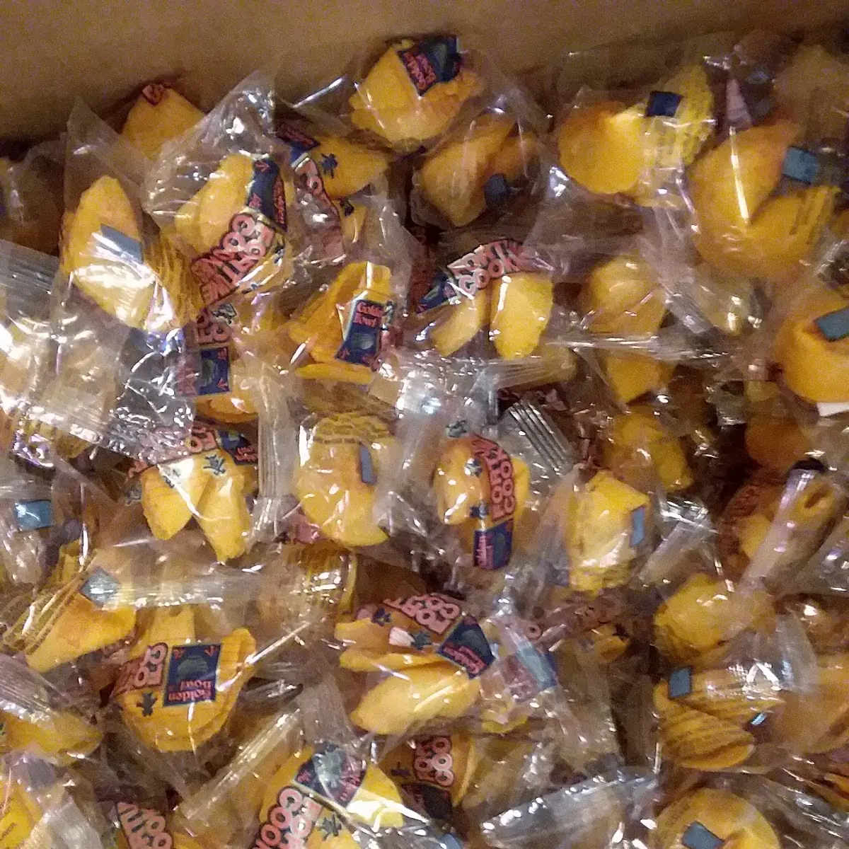 Free Fortune Cookies