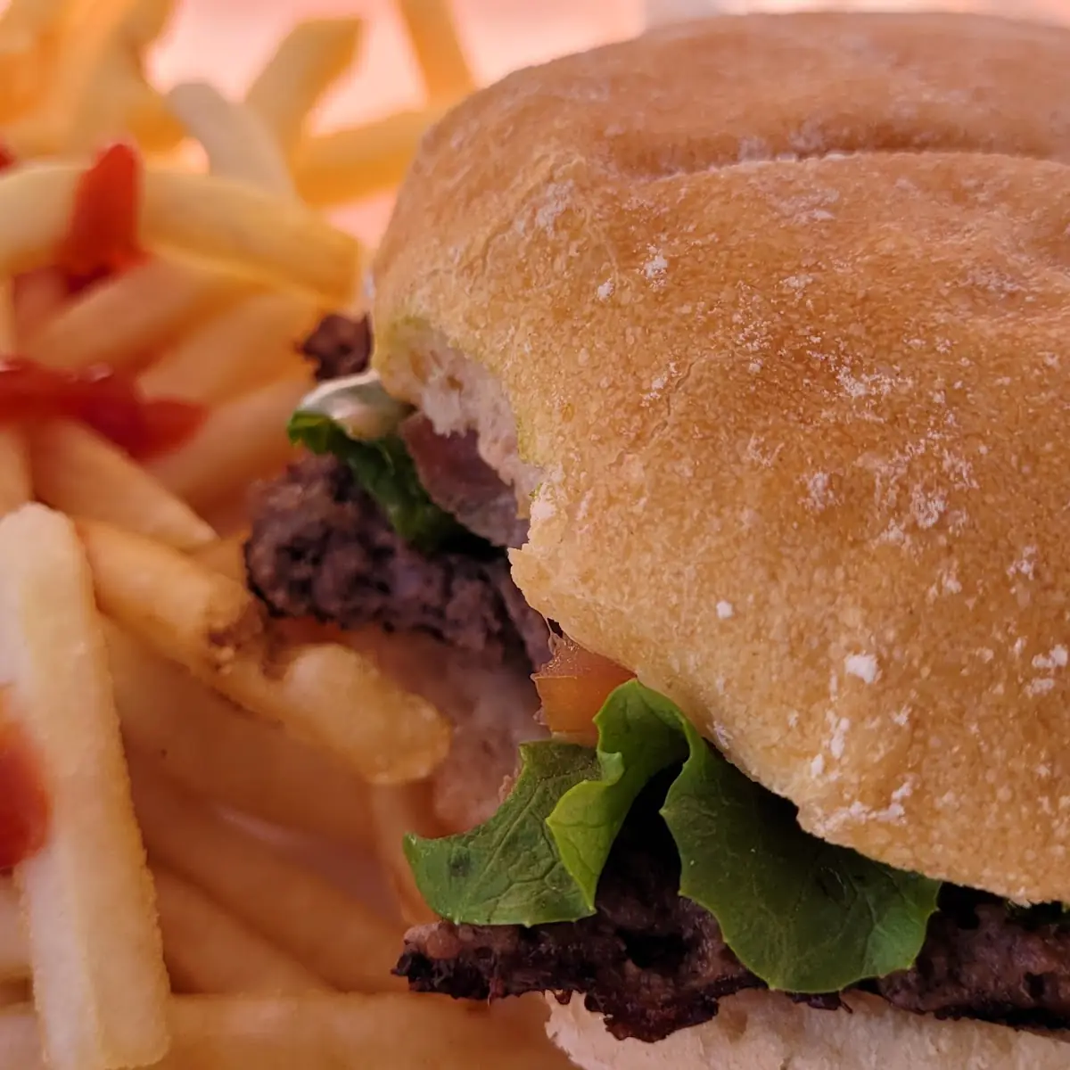 Hamburger and Fries