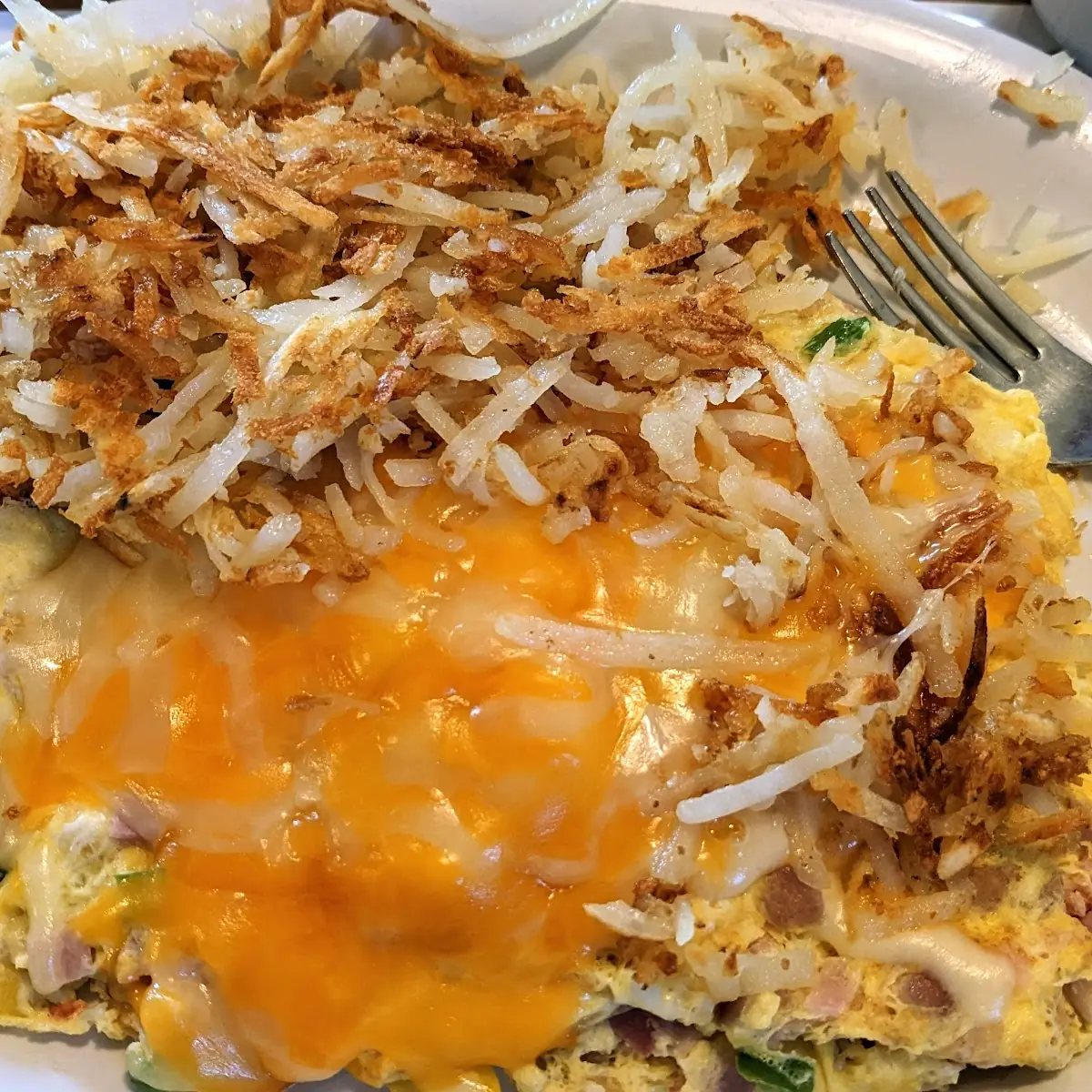 Western Omelette