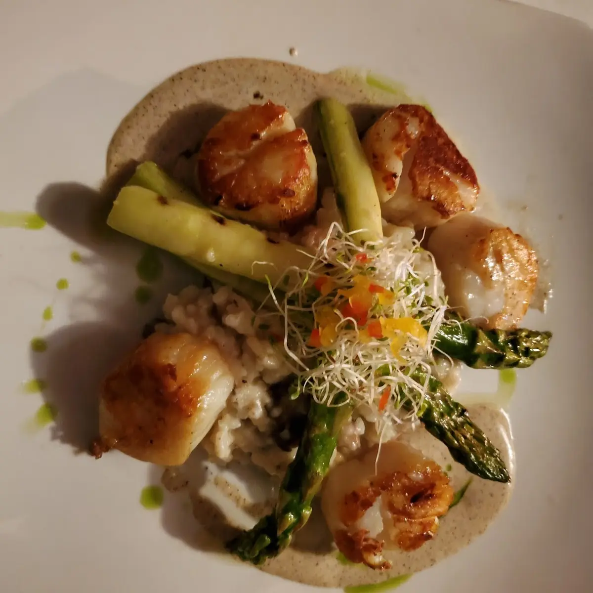 Diver Sea Scallops