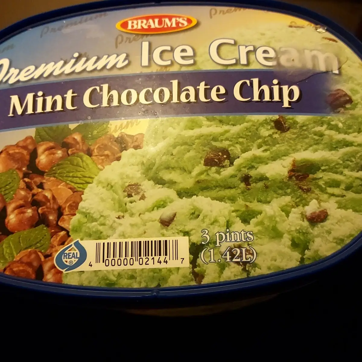 Mint Chocolate Chip Ice Cream