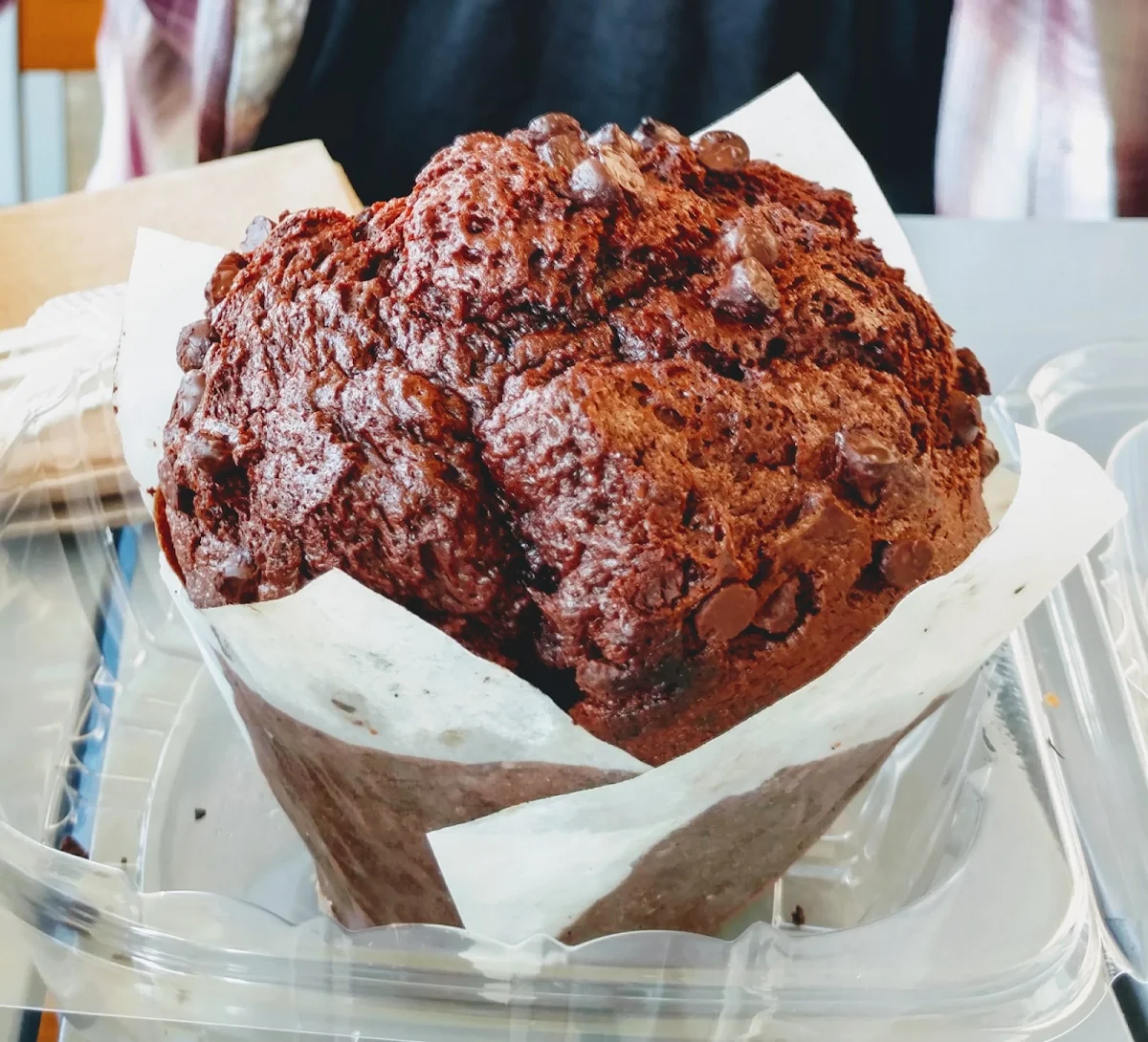 Chocolate Muffin