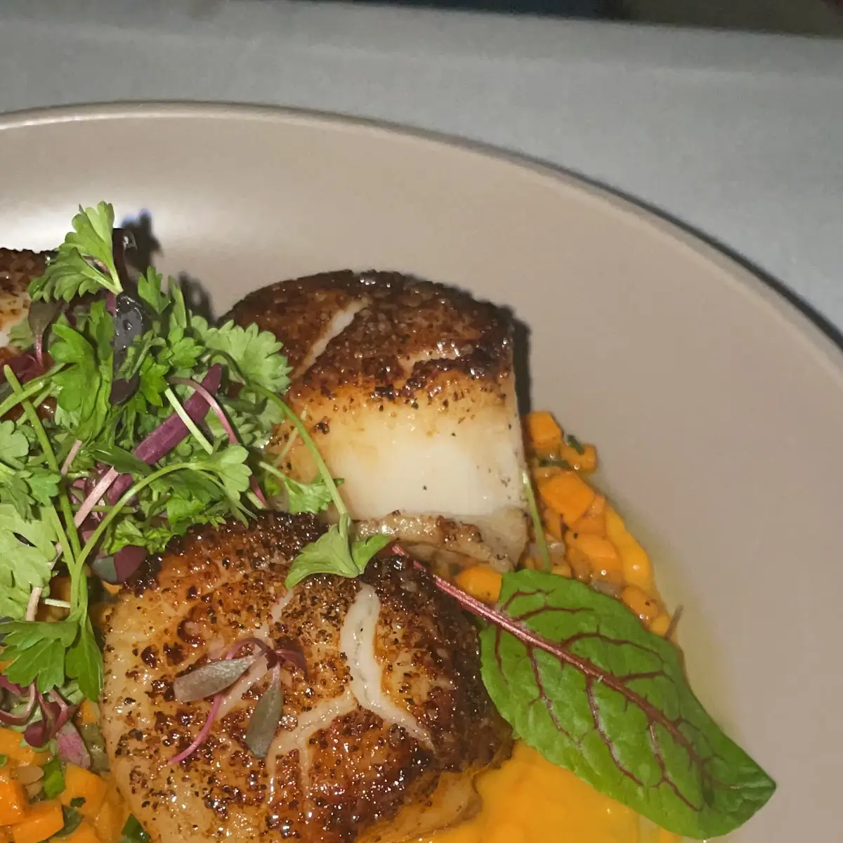 Diver Scallops