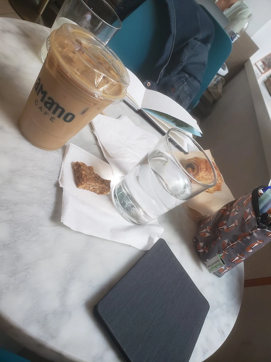 Iced Vanilla Latte