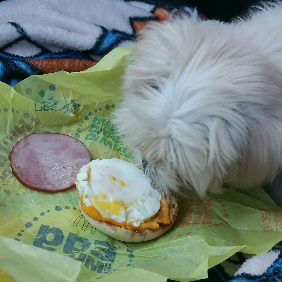 Egg Mcmuffin
