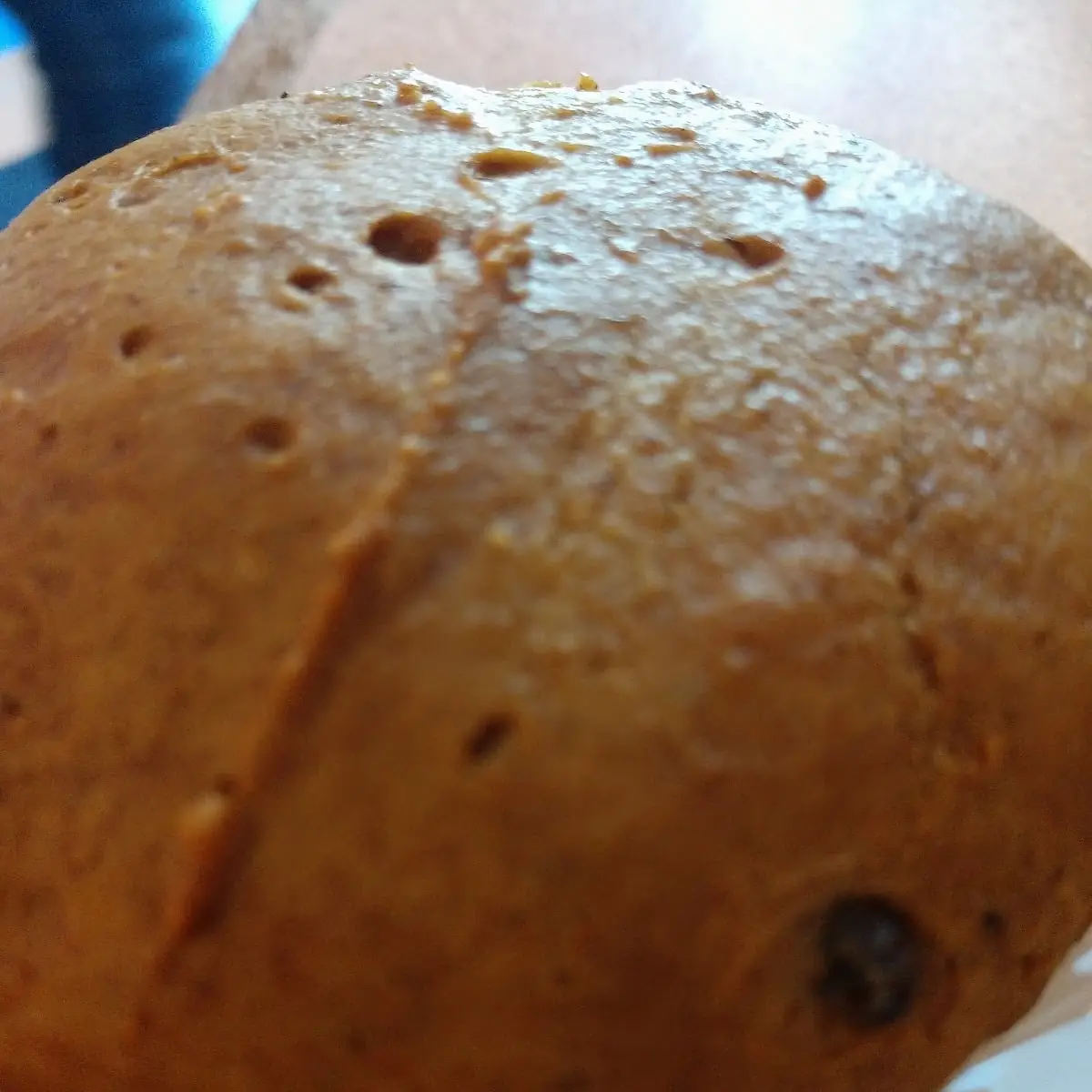 Pumpkin Chocolate Chip Muffin