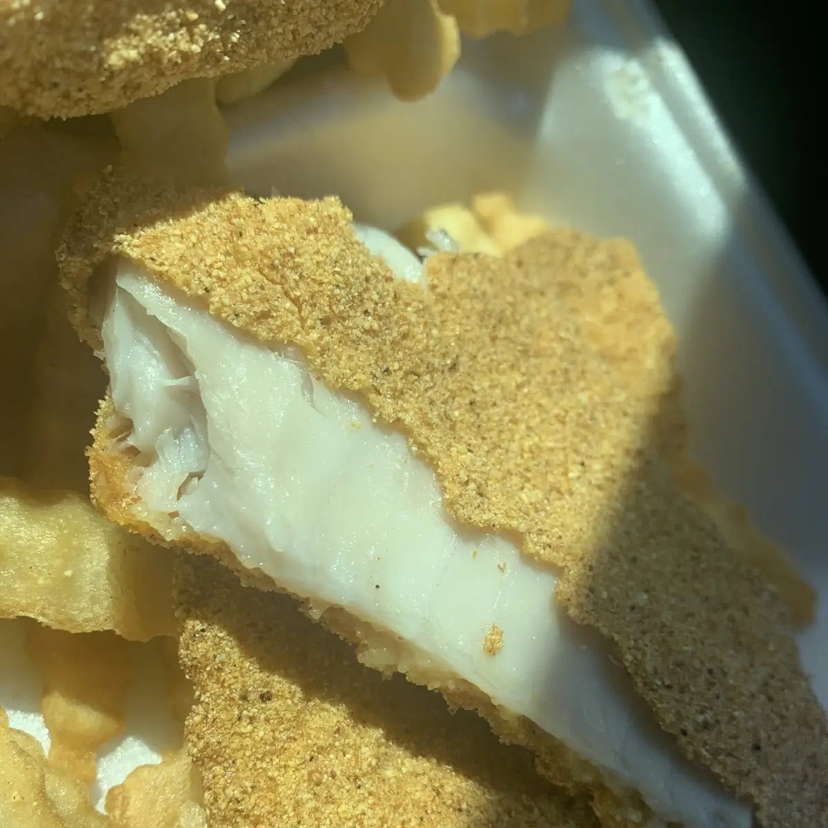 Catfish Fillet