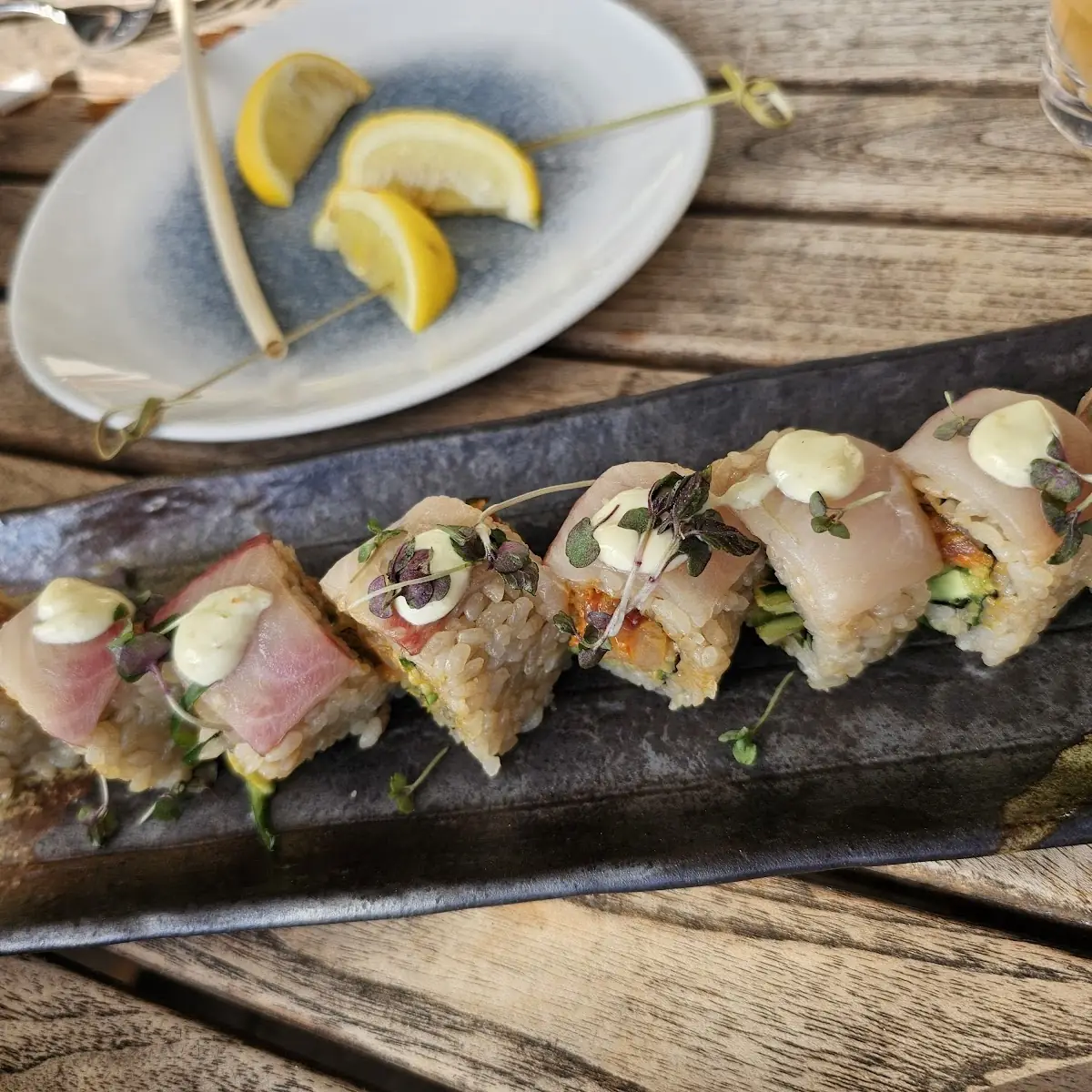 Sixty South Salmon Roll