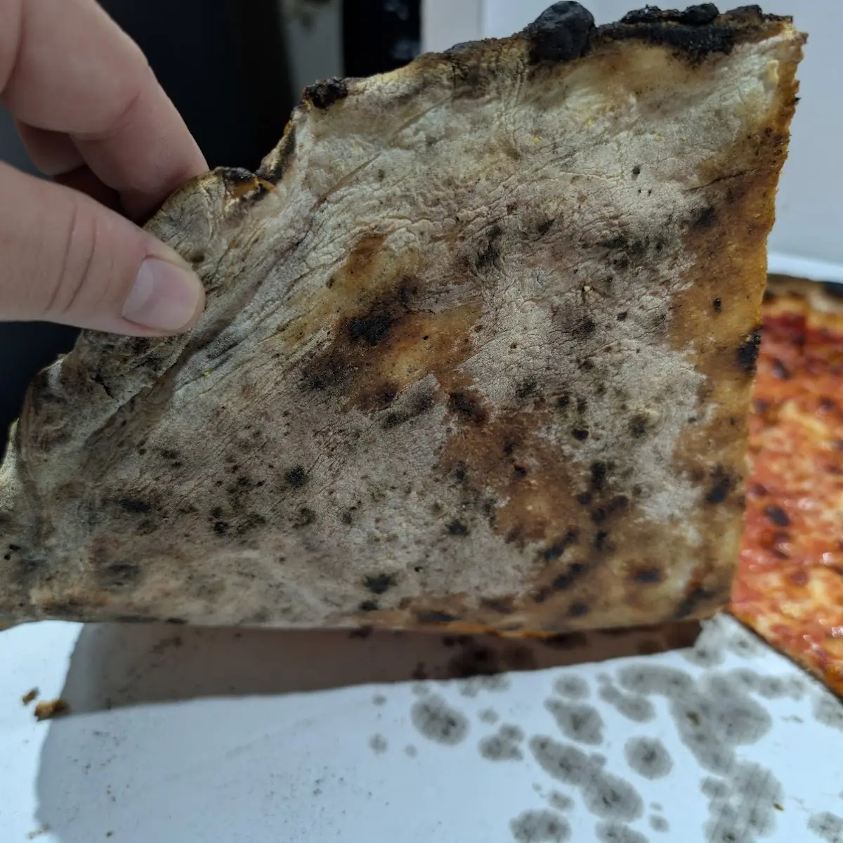 Mozzarella & Tomato Sauce Pie