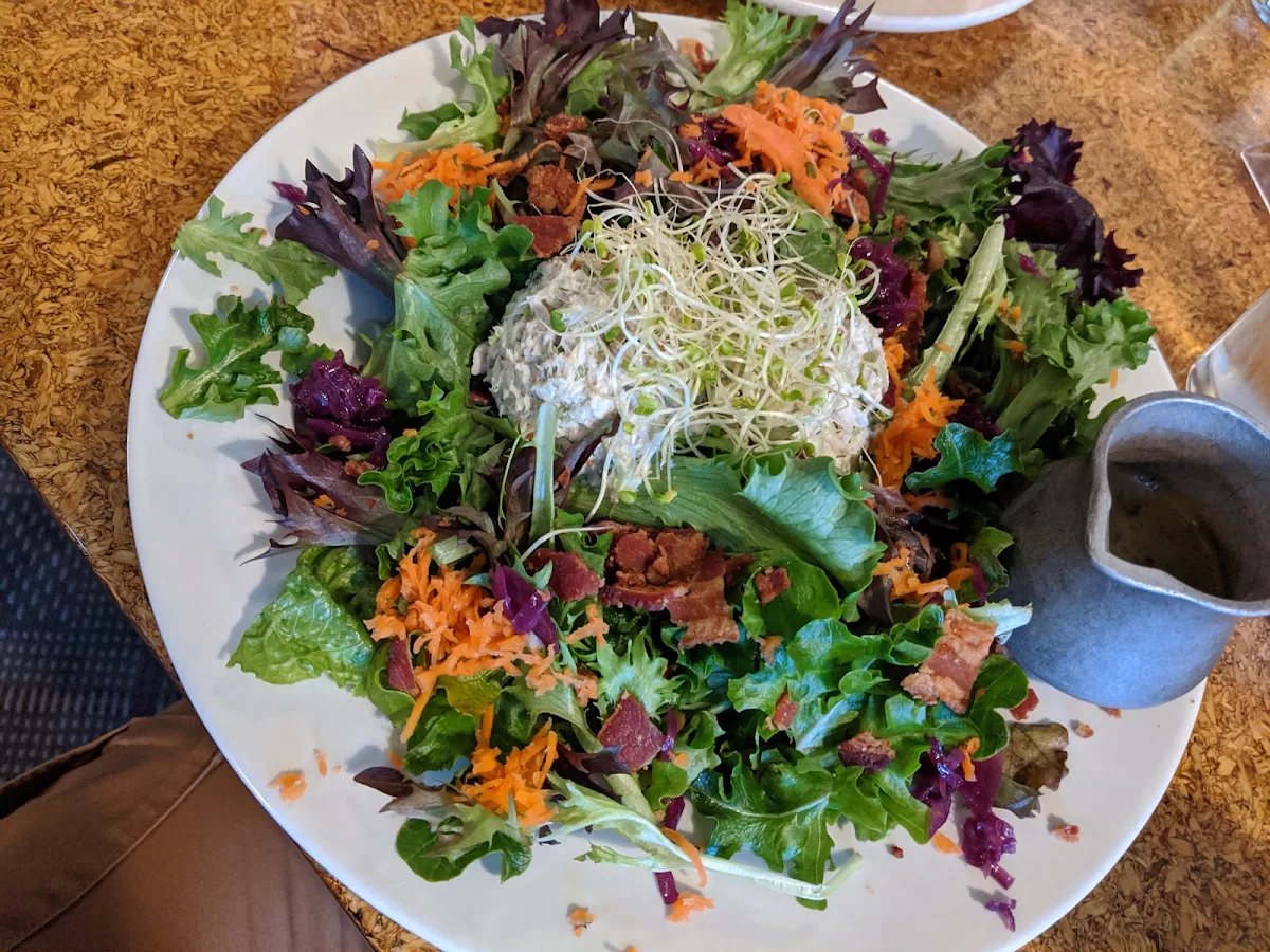 Tuna Salad