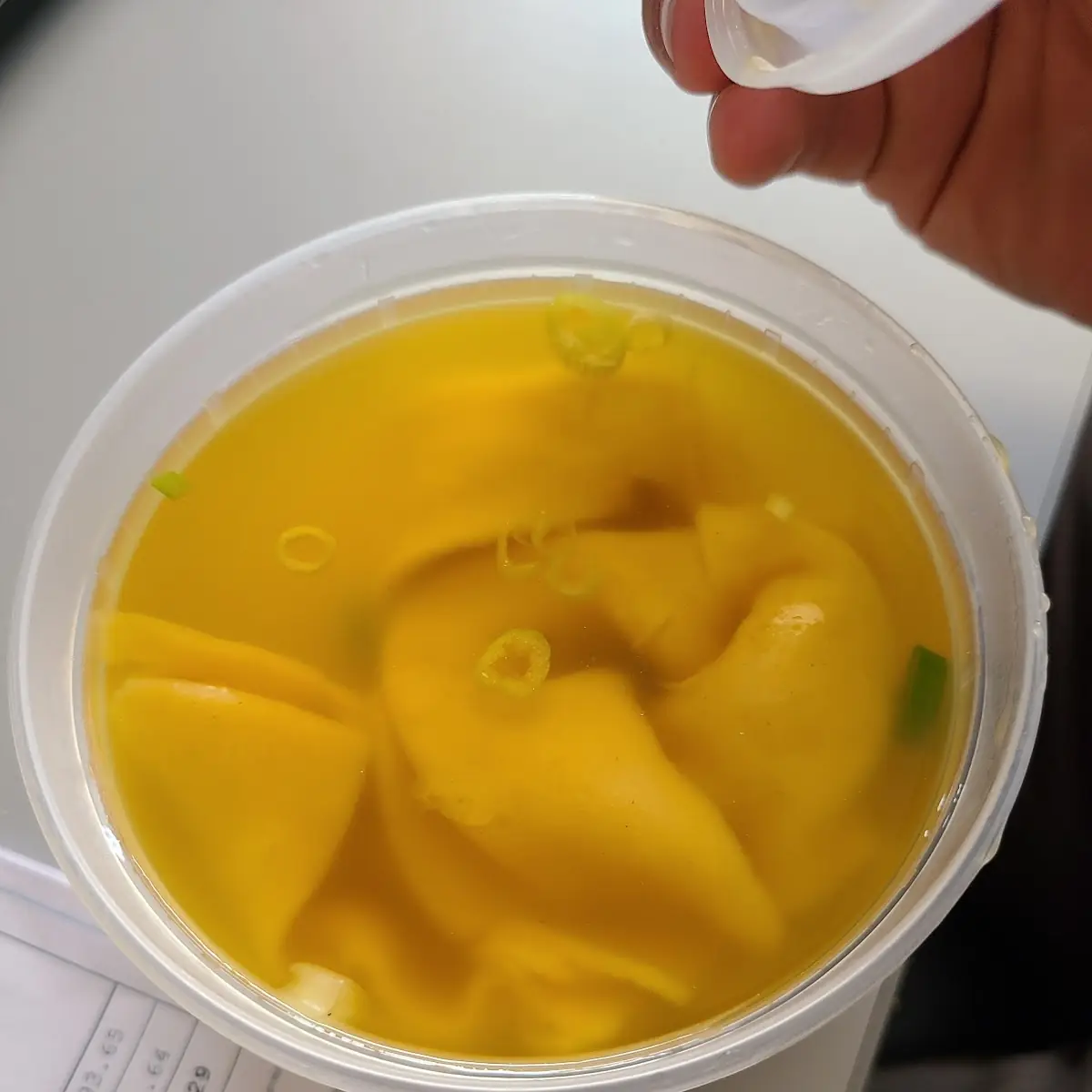 Wonton Soup