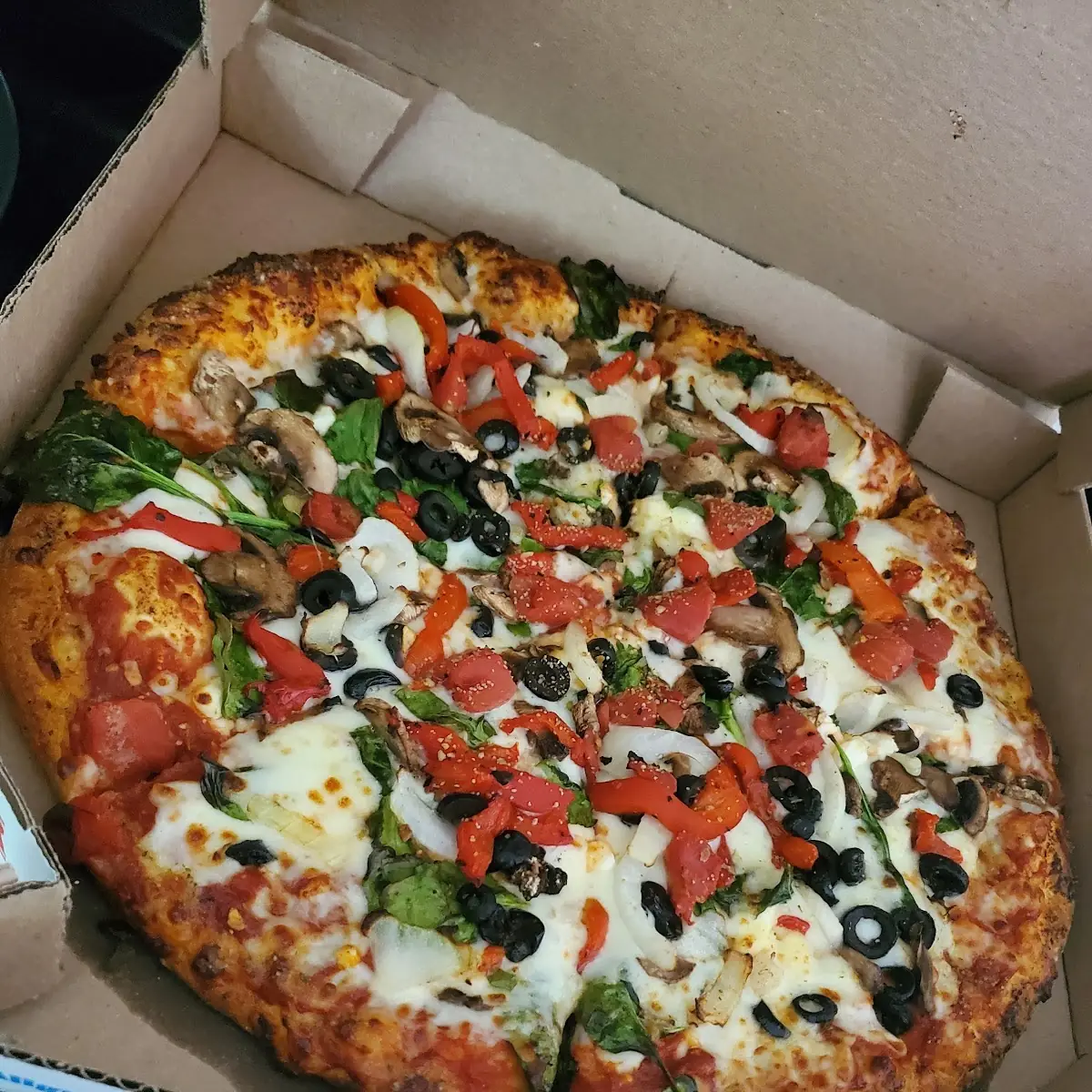Vegetarian Pizza