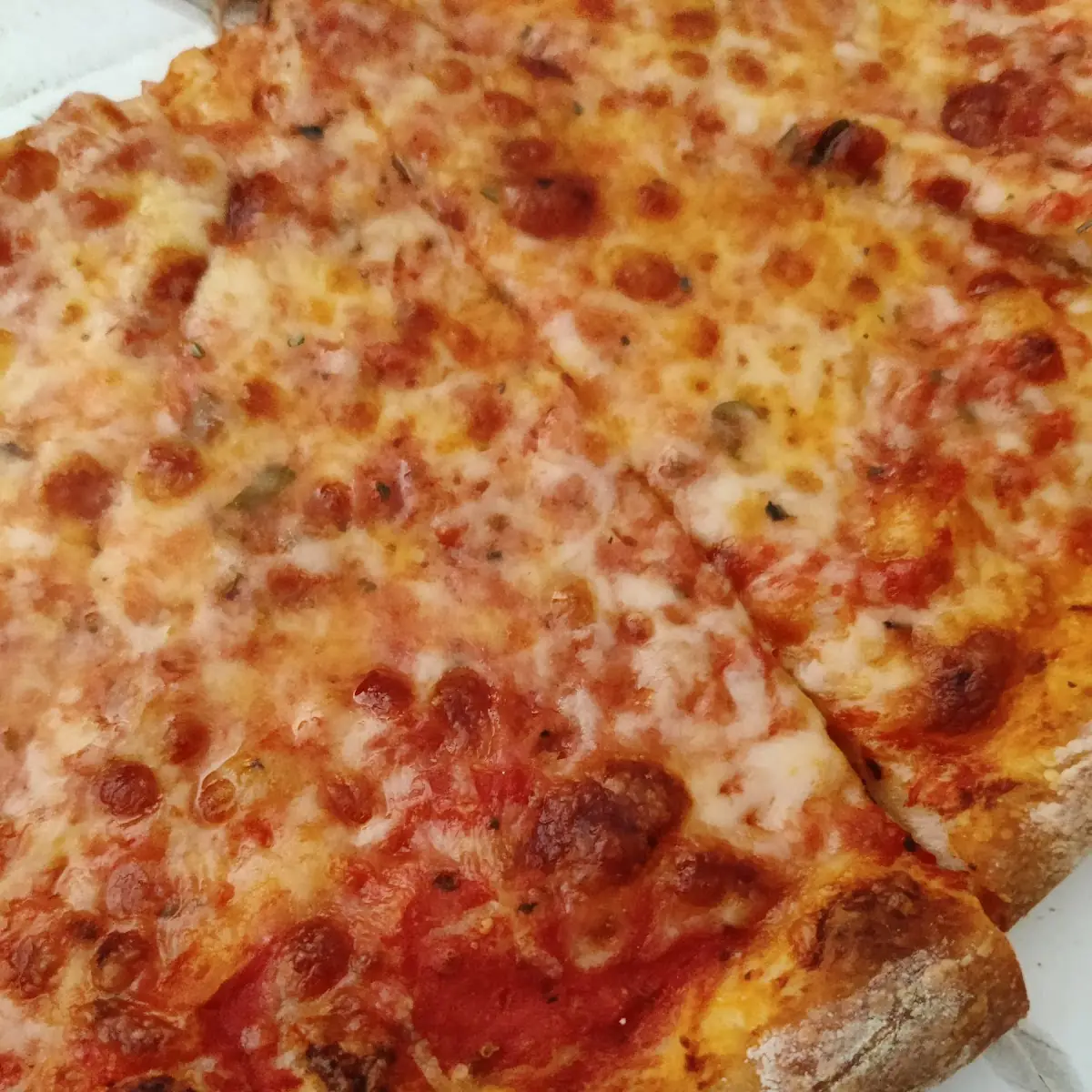 Cheese Pizza 14 Traditional