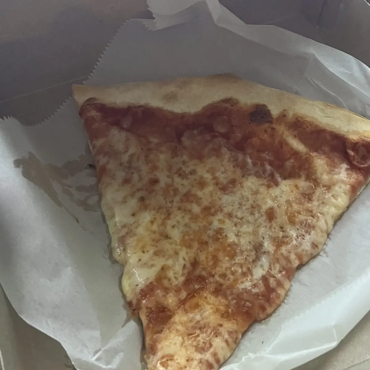 Plain Pizza Slice