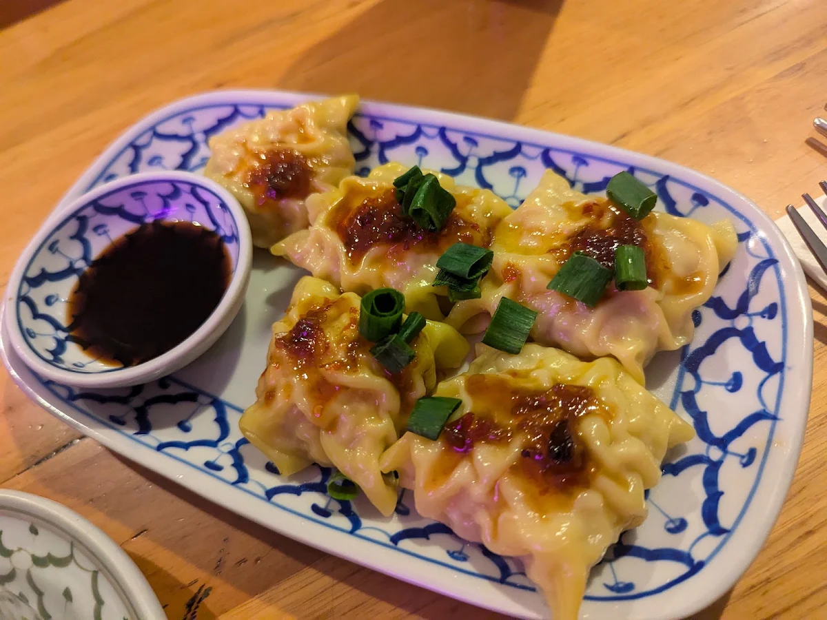 Pork Dumplings