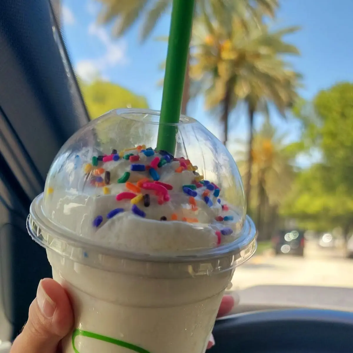 Sprinkle Cookie Shake