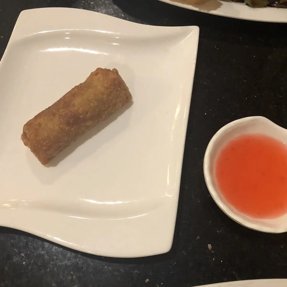 Vegetable Spring Rolls (2)