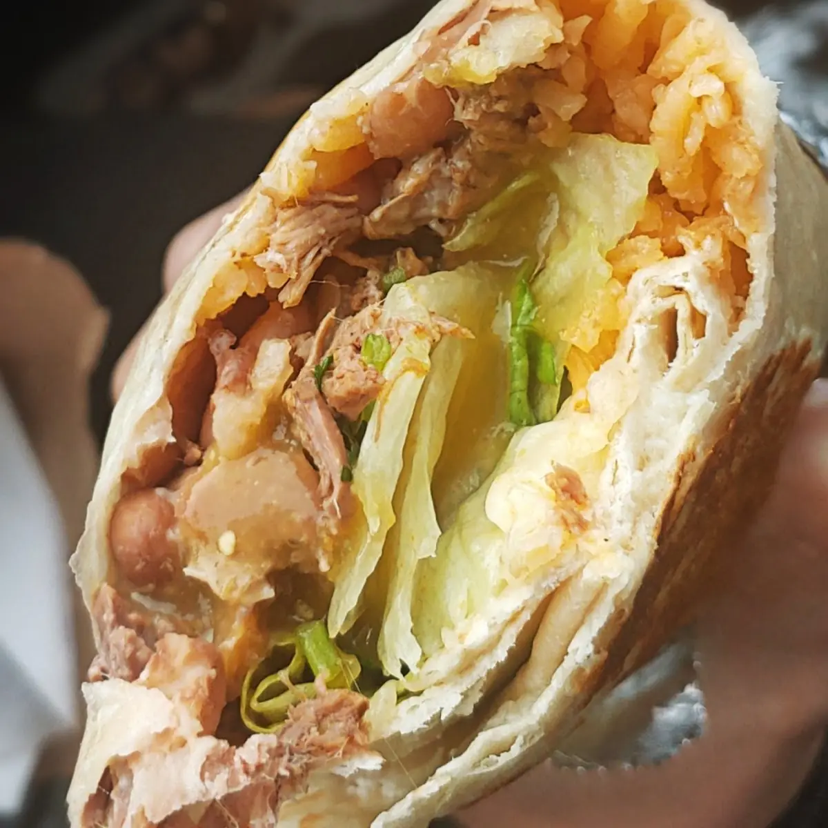 Birria Burrito