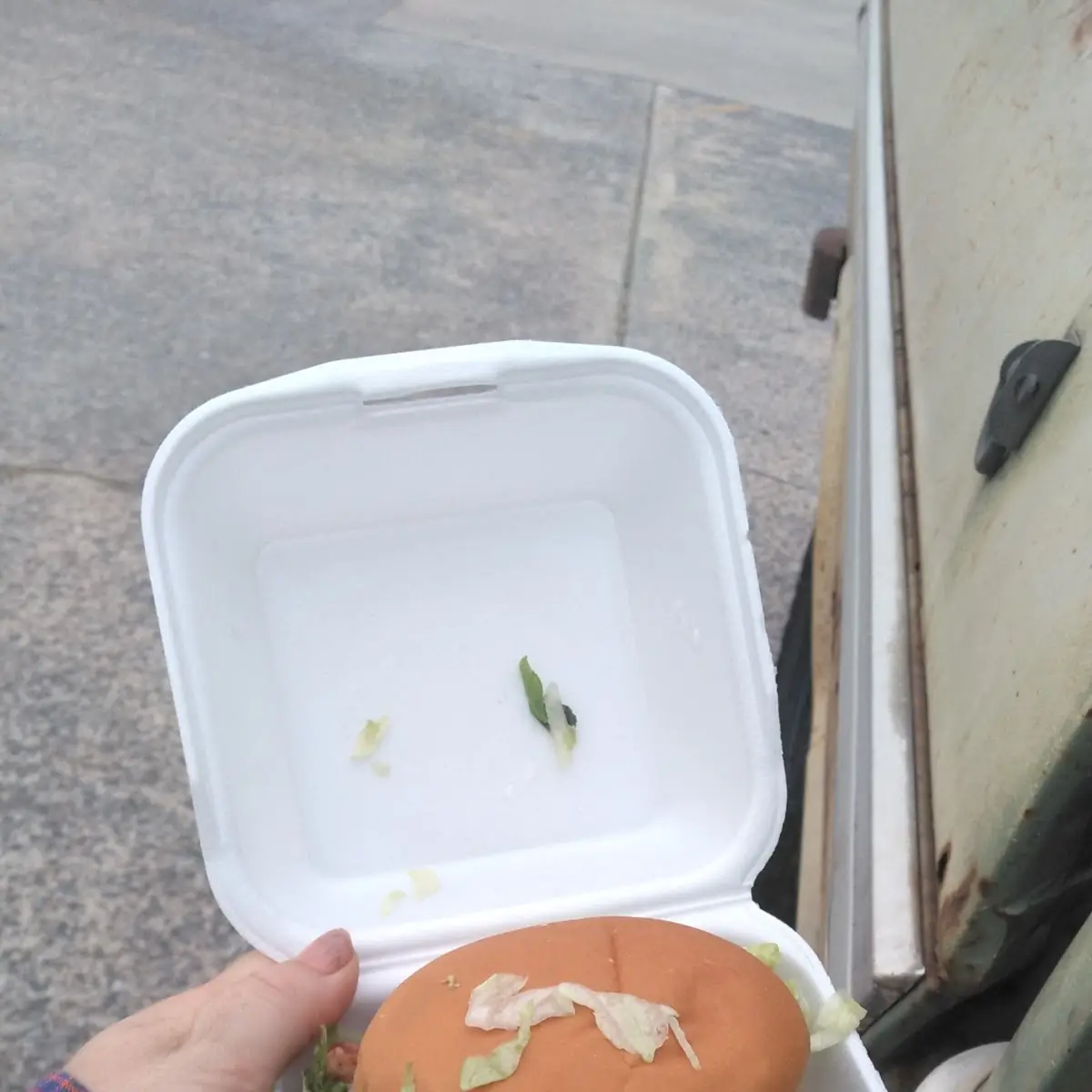 BBQ Sandwich