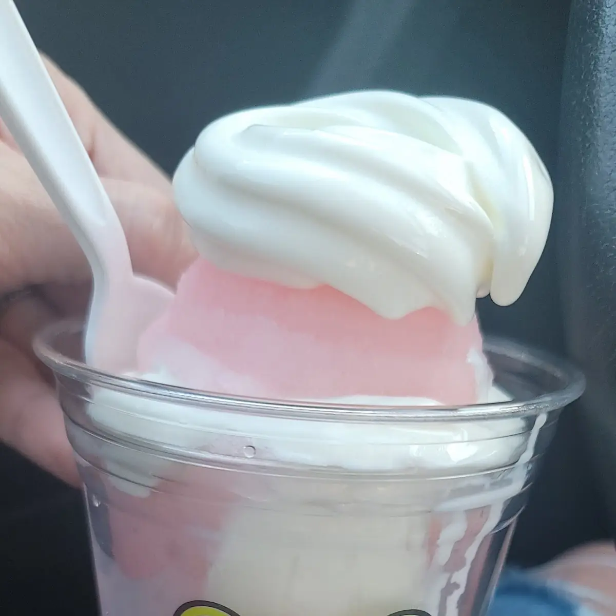 Cotton Candy and Vanilla Gelato