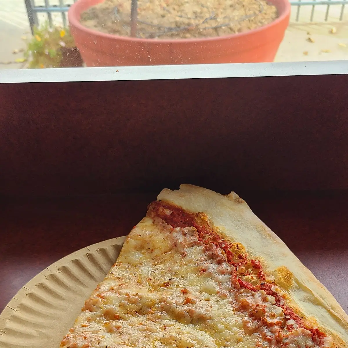 NY Cheese Pizza
