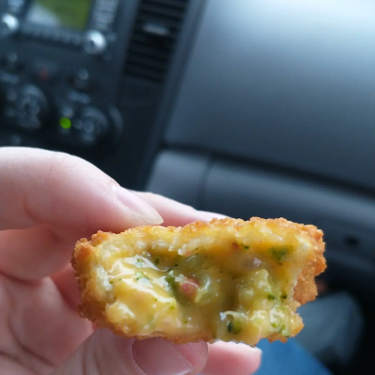 Hand Breaded Fried Pickles