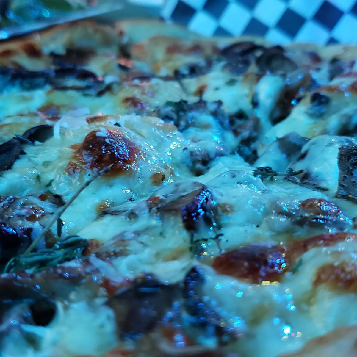 Mushroom Pizza