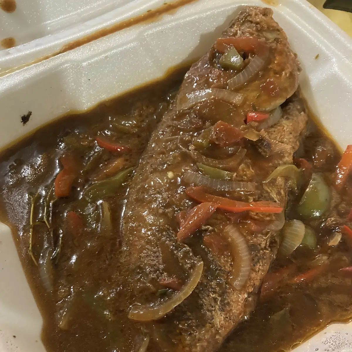 Red Snapper