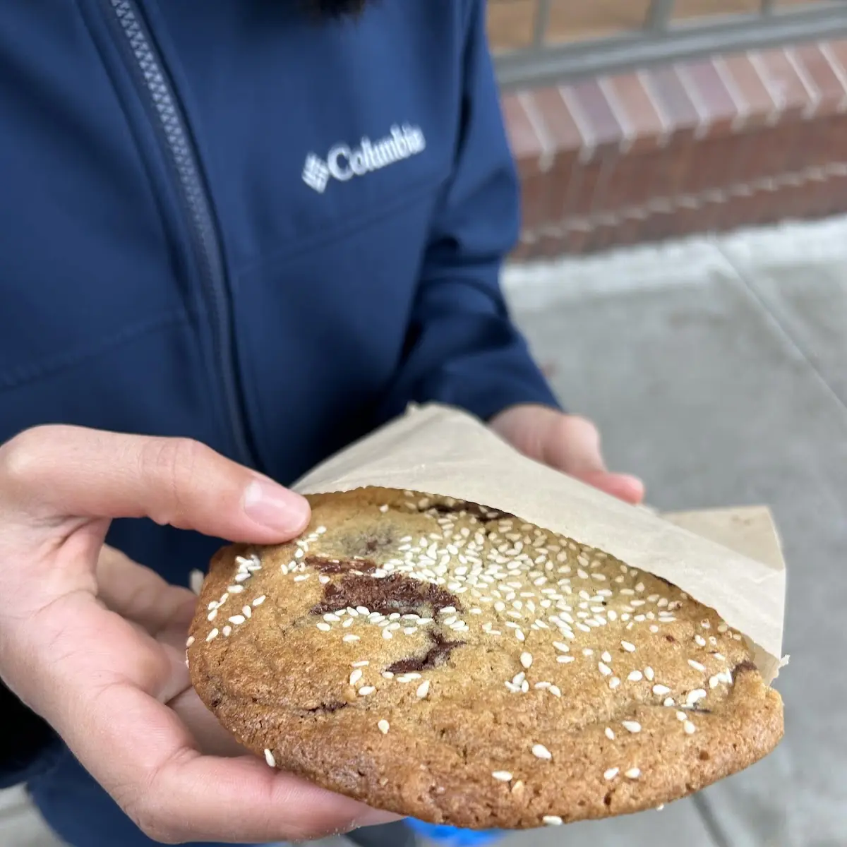 Chocolate Chip Cookie
