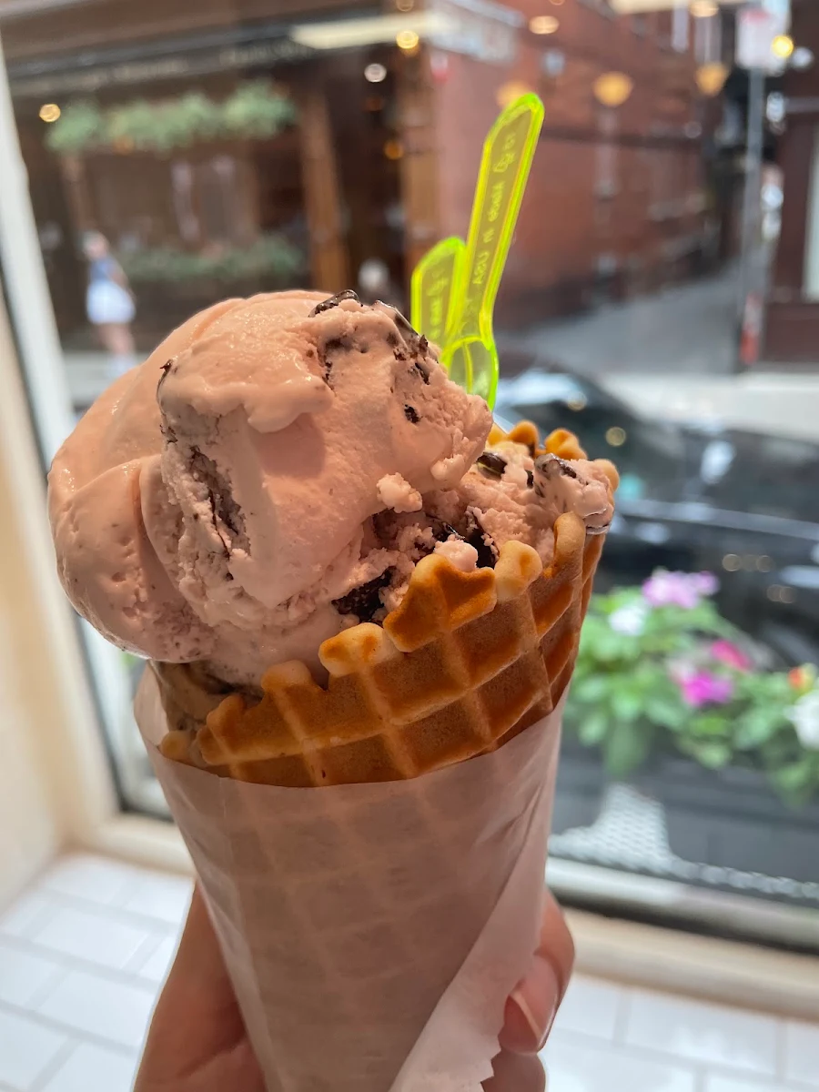 Chocolate Ice Cream