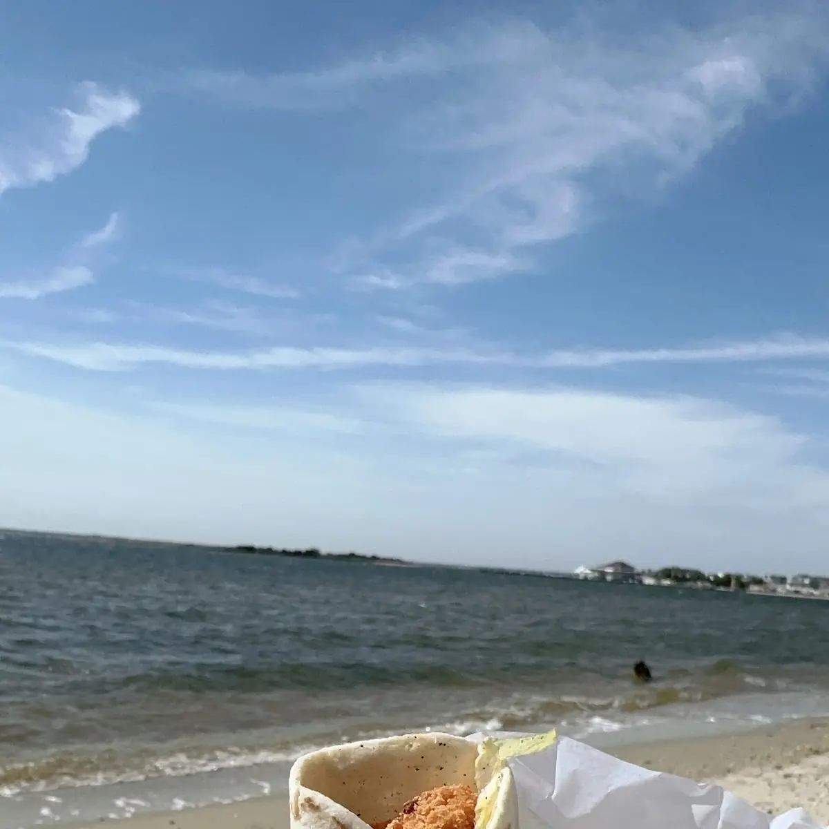 Breakfast Burritos