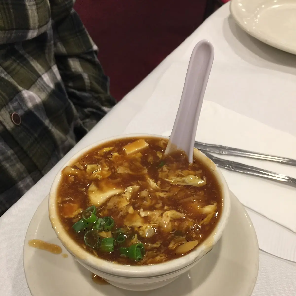 Hot and Sour Soup