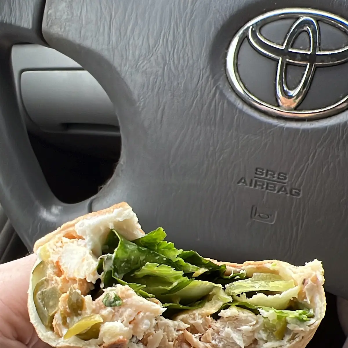 Chicken Sandwich
