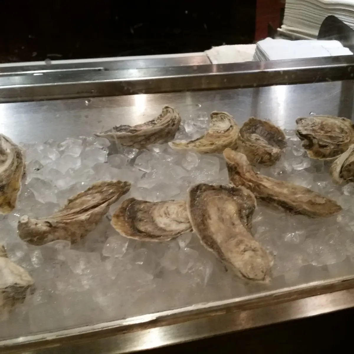 Fresh Oysters