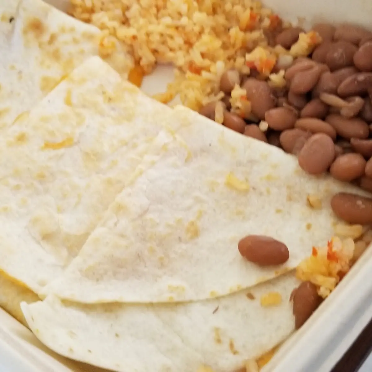 Cheese Quesadilla