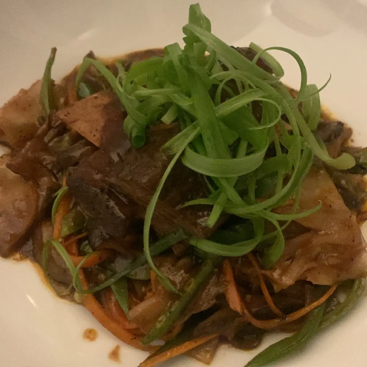 Chow Fun Noodles
