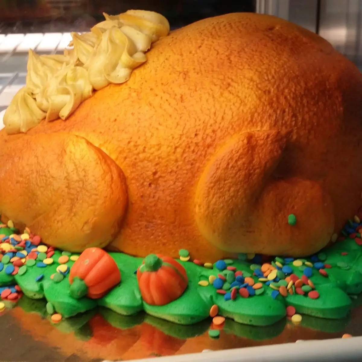 Chocolate Cake in Turkey Shape