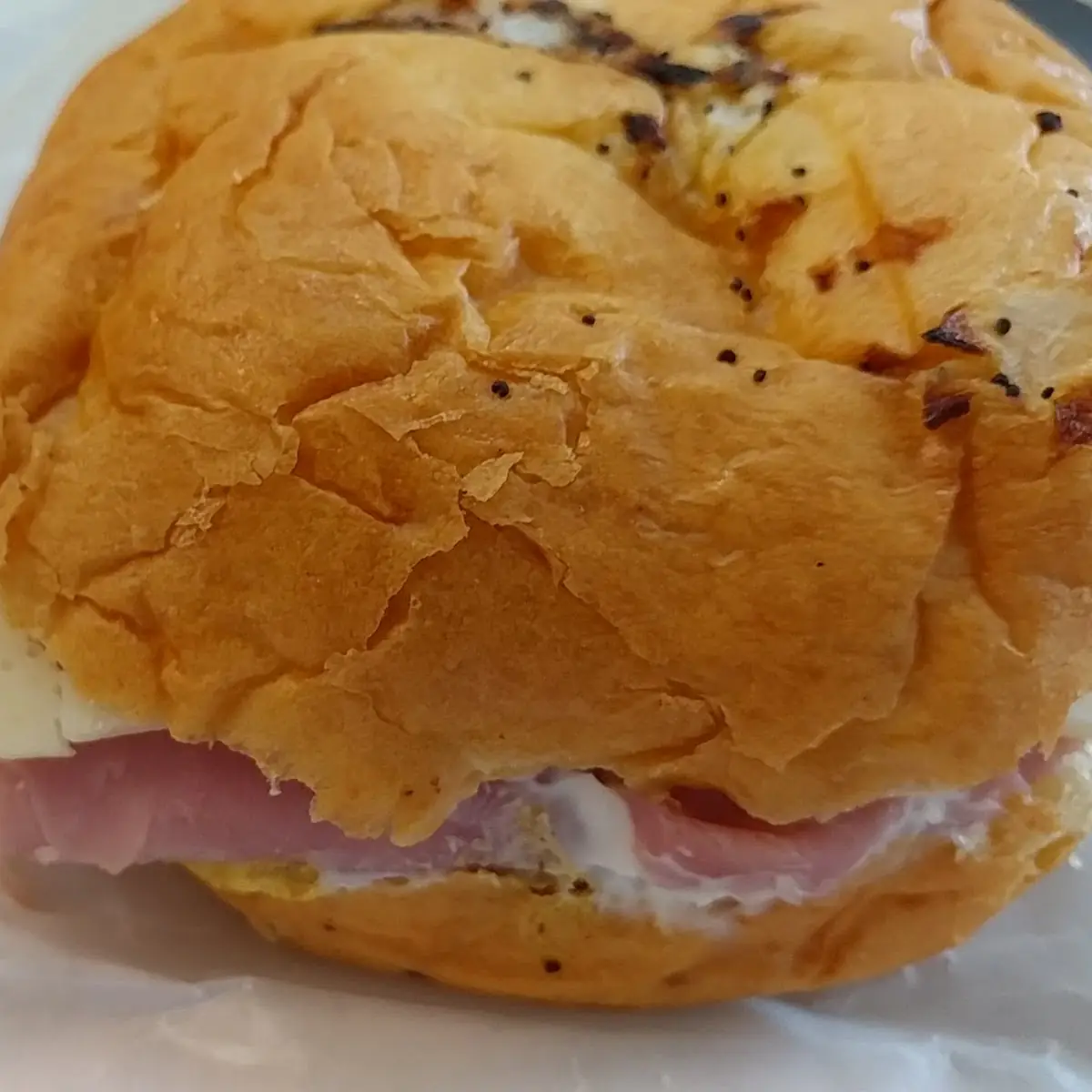 Ham & Swiss on Onion Roll