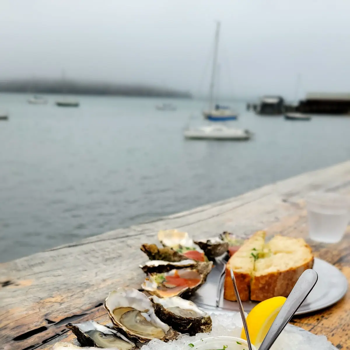 Raw Oysters on the Half Shell