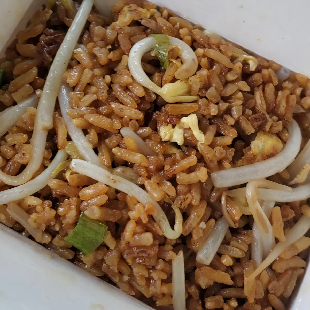 Fried Rice w Egg Scallions and Bean Sprouts Only