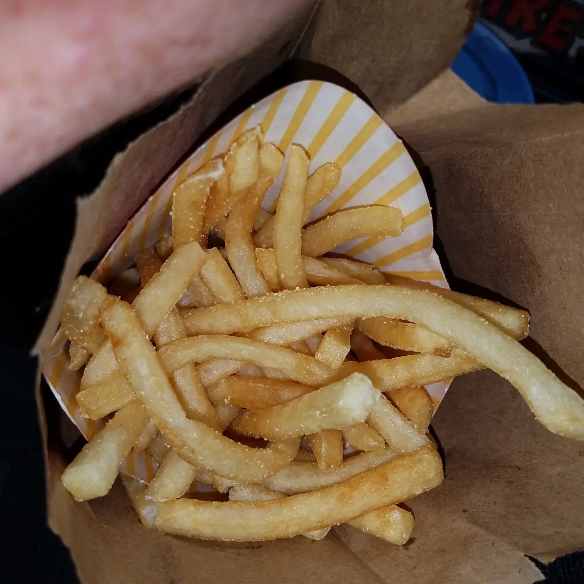 World Famous Fries